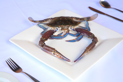 Blue Swimmer Crab